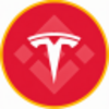 Tesla (bStocks Tokenized Stock) Logo
