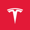 Tesla (Coinbase Tokenized Stocks) Logo