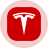 Tesla (Ondo Tokenized Stock) Logo