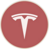 Tesla rStock Logo