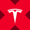 Tesla xStock Logo