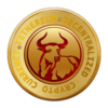 Tethereum Logo