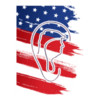 THE EAR STAYS ON Logo