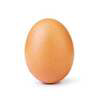 THE EGG Logo