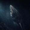 The Greenland Shark Logo
