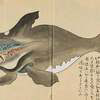 The Japanese Whale Logo