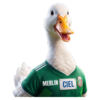 The Patriotic Duck Logo