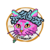TinHatCat Logo