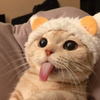 Tongue Cat Logo
