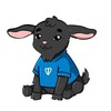 TONSKI Logo