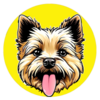 TOTO Logo