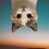 UpSide Down Cat Logo