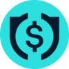 USD WINK Logo