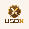 USDX Logo