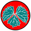Vcash Logo