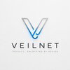 Veilnet Logo