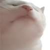 Vibe Cat Logo