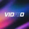 Vidaio Logo