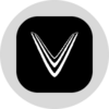 VinFast Auto (Ondo Tokenized) Logo