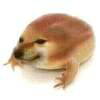 what the dog doing? Logo