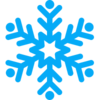 Winter Logo