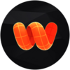 Wireshape Logo