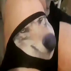 WolfWifBallz Logo