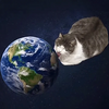 world licking cat Logo