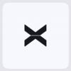 XBorg Logo