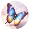 妖蝶 (Yao Die) Logo