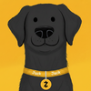 Zooko's Dog Logo